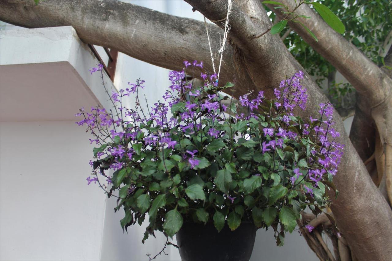 Opis Haus Apartment Playa del Carmen Exterior photo